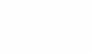ISO9001IQNET
